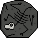 پیش‌نمایش فایل fossil-5381116 از پک زیست‌شناسی