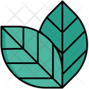 پیش‌نمایش فایل leaf-5381128 از پک زیست‌شناسی