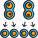 پیش‌نمایش فایل meiosis-reproductive-cell-division-5381133 از پک زیست‌شناسی