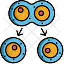 پیش‌نمایش فایل mitosis-vegetative-cell-division-5381138 از پک زیست‌شناسی