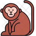 پیش‌نمایش فایل monkey-5381088 از پک زیست‌شناسی