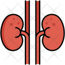 پیش‌نمایش فایل organ-5381146 از پک زیست‌شناسی