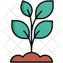 پیش‌نمایش فایل plant-5381153 از پک زیست‌شناسی