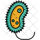 پیش‌نمایش فایل protist-5381155 از پک زیست‌شناسی