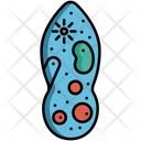 پیش‌نمایش فایل protozoa-5381156 از پک زیست‌شناسی