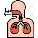 پیش‌نمایش فایل respiration-5381159 از پک زیست‌شناسی