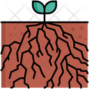 پیش‌نمایش فایل root-5381161 از پک زیست‌شناسی