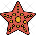 پیش‌نمایش فایل star-fish-5381108 از پک زیست‌شناسی
