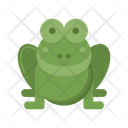 پیش‌نمایش فایل amphibian-5381171 از پک زیست‌شناسی