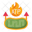 پیش‌نمایش فایل atp-adenosine-triphosphate-5381176 از پک زیست‌شناسی