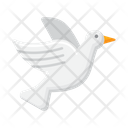 پیش‌نمایش فایل bird-5381179 از پک زیست‌شناسی