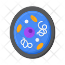 پیش‌نمایش فایل cytoplasm-5381190 از پک زیست‌شناسی