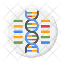 پیش‌نمایش فایل dna-5381192 از پک زیست‌شناسی