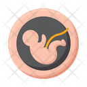 پیش‌نمایش فایل embryo-5381196 از پک زیست‌شناسی