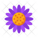 پیش‌نمایش فایل flower-5381200 از پک زیست‌شناسی