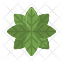 پیش‌نمایش فایل leaf-5381213 از پک زیست‌شناسی