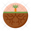 پیش‌نمایش فایل root-5381246 از پک زیست‌شناسی