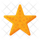 پیش‌نمایش فایل star-fish-5381193 از پک زیست‌شناسی