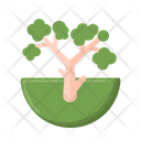 پیش‌نمایش فایل tree-5381250 از پک زیست‌شناسی