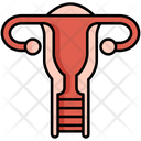 پیش‌نمایش فایل obgyn-5381704 از پک والدگری