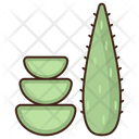 پیش‌نمایش فایل aloe-vera-5387383 از پک مراقبت از پوست