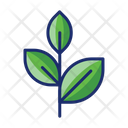 پیش‌نمایش فایل green-leaf-5386914 از پک حمل‌ونقل پایدار