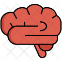 پیش‌نمایش فایل brain-5385436 از پک مرشدی و آموزش