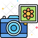 پیش‌نمایش فایل photography-5385411 از پک خلاقیت