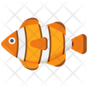 پیش‌نمایش فایل clownfish-5386821 از پک دریا و اقیانوس