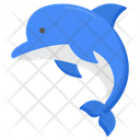 پیش‌نمایش فایل dolphin-5386828 از پک دریا و اقیانوس