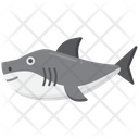 پیش‌نمایش فایل great-white-shark-5386836 از پک دریا و اقیانوس