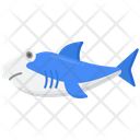 پیش‌نمایش فایل hammerhead-shark-5386837 از پک دریا و اقیانوس