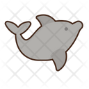 پیش‌نمایش فایل dolphin-5386623 از پک دریا و اقیانوس