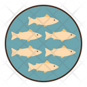 پیش‌نمایش فایل fish-group-school-5386627 از پک دریا و اقیانوس