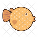 پیش‌نمایش فایل puffer-fish-5386652 از پک دریا و اقیانوس