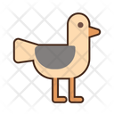 پیش‌نمایش فایل seagull-5386658 از پک دریا و اقیانوس