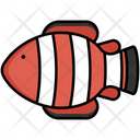 پیش‌نمایش فایل clownfish-5385903 از پک دریا و اقیانوس