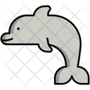 پیش‌نمایش فایل dolphin-5385909 از پک دریا و اقیانوس