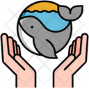 پیش‌نمایش فایل marine-conservation-5385928 از پک دریا و اقیانوس