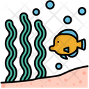 پیش‌نمایش فایل marine-life-5385929 از پک دریا و اقیانوس