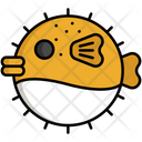 پیش‌نمایش فایل puffer-fish-5385938 از پک دریا و اقیانوس
