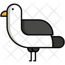 پیش‌نمایش فایل seagull-5385944 از پک دریا و اقیانوس