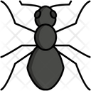 پیش‌نمایش فایل ant-5385899 از پک طبیعت