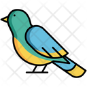 پیش‌نمایش فایل bird-5385816 از پک طبیعت