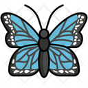 پیش‌نمایش فایل butterfly-5385818 از پک طبیعت