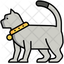 پیش‌نمایش فایل cat-5385821 از پک طبیعت