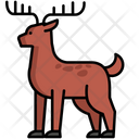 پیش‌نمایش فایل deer-5385827 از پک طبیعت