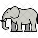 پیش‌نمایش فایل elephant-5385831 از پک طبیعت