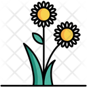 پیش‌نمایش فایل flower-5385834 از پک طبیعت
