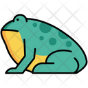 پیش‌نمایش فایل frog-5385837 از پک طبیعت